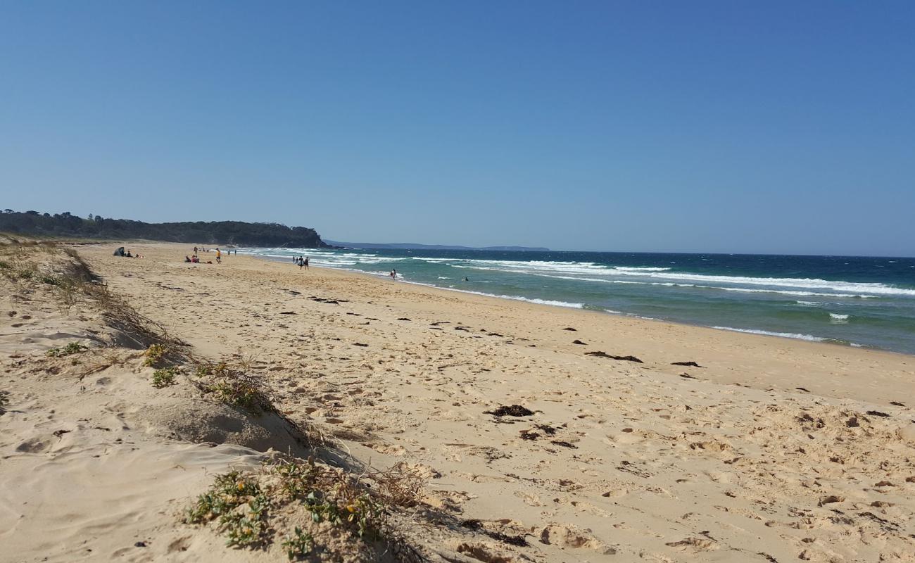 Foto de South Head Beach con arena brillante superficie