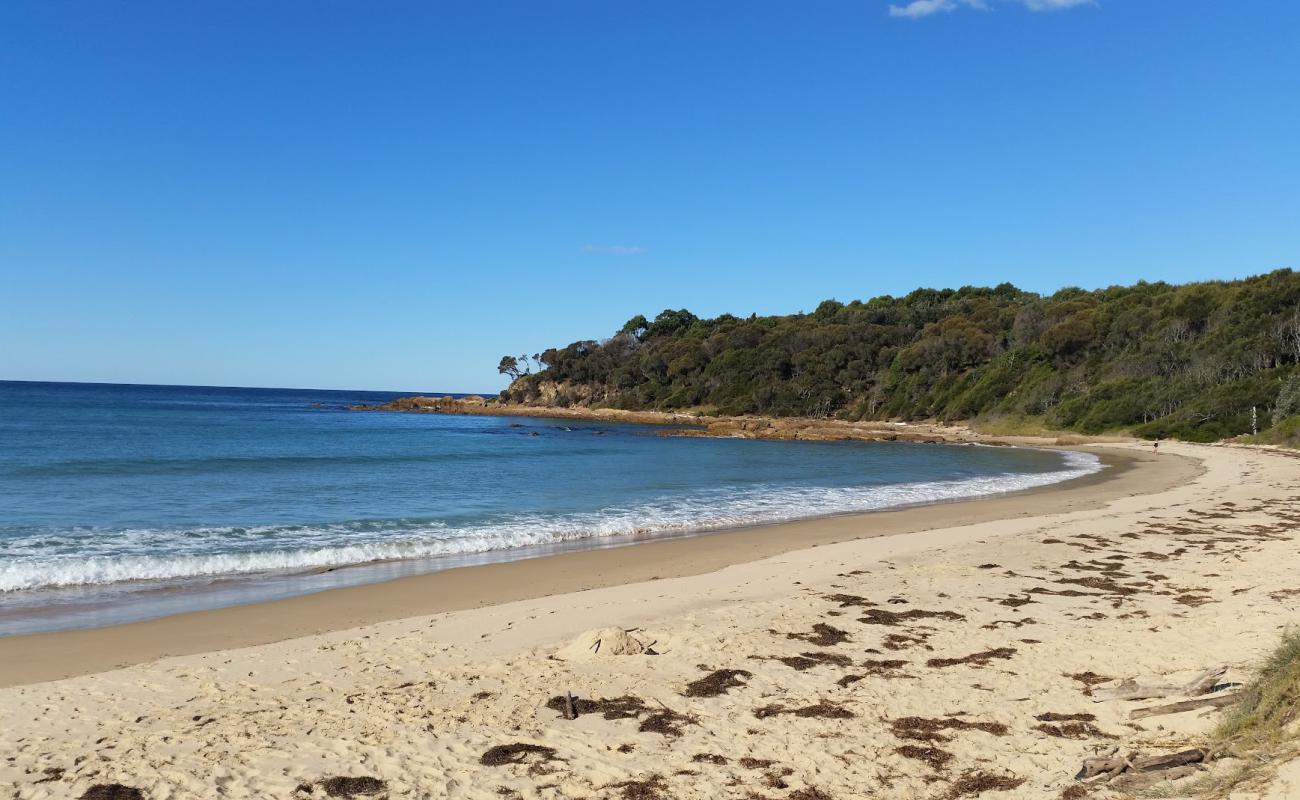 Foto de Shelly Beach con arena brillante superficie