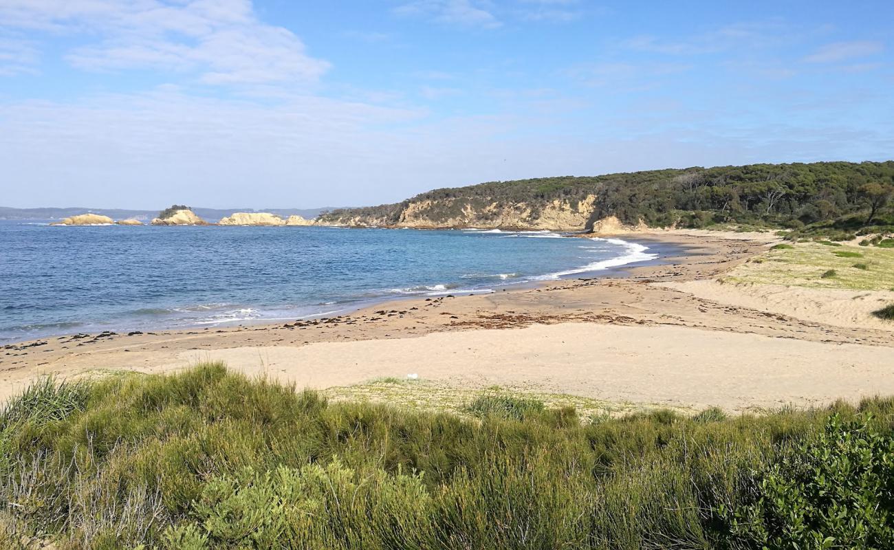 Foto de North Head Beach con arena brillante superficie