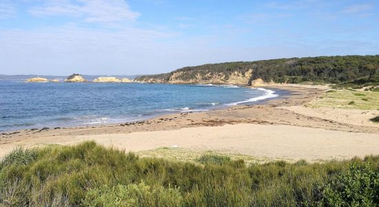 North Head Beach