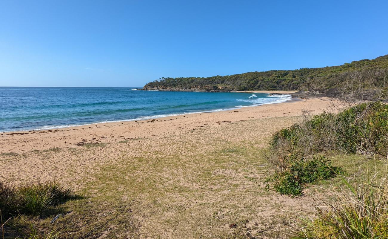 Foto de Emily Miller Beach con arena brillante superficie