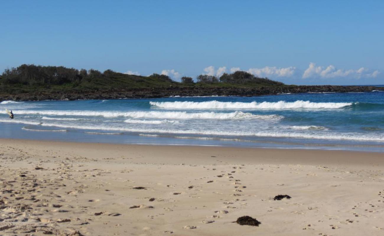 Foto de Shelly Beach con arena brillante superficie