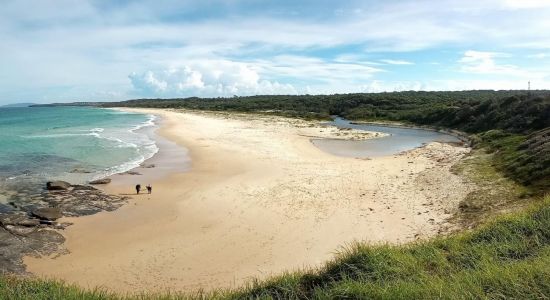 Racecourse Beach