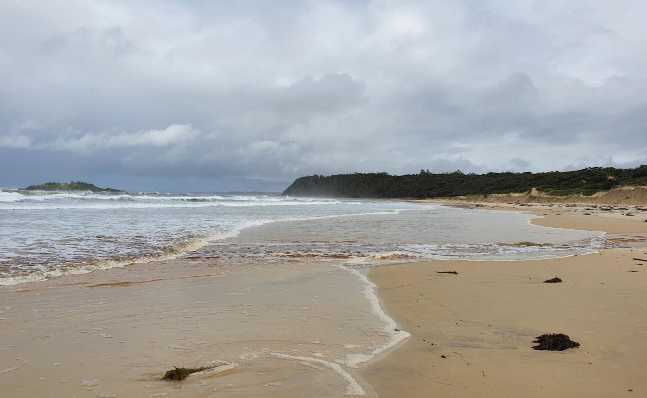 Foto de Manyana Beach con arena brillante superficie