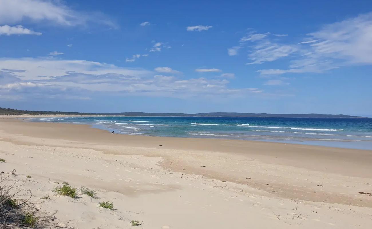 Foto de Bherwherre Beach con arena brillante superficie