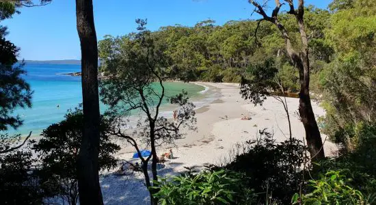 Blenheim Beach