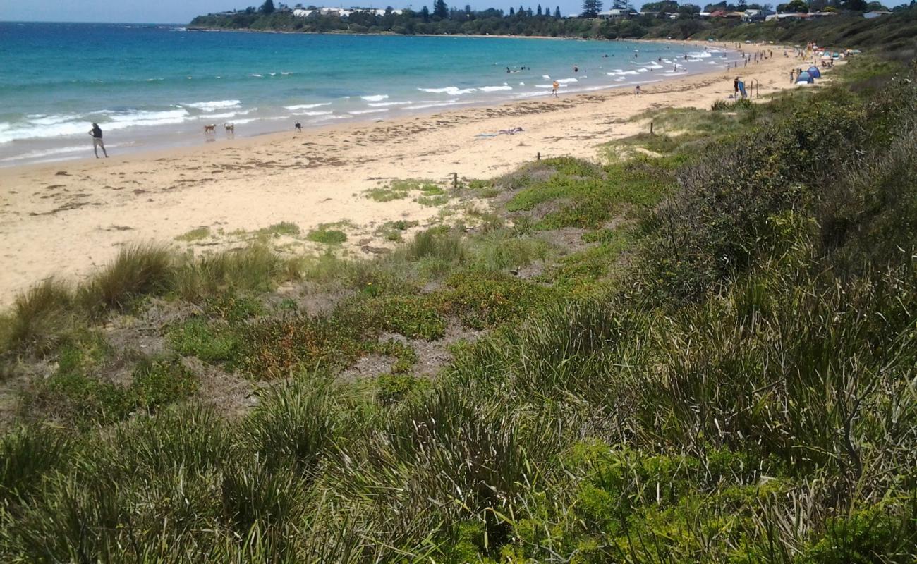 Foto de Culburra Beach con brillante arena fina superficie