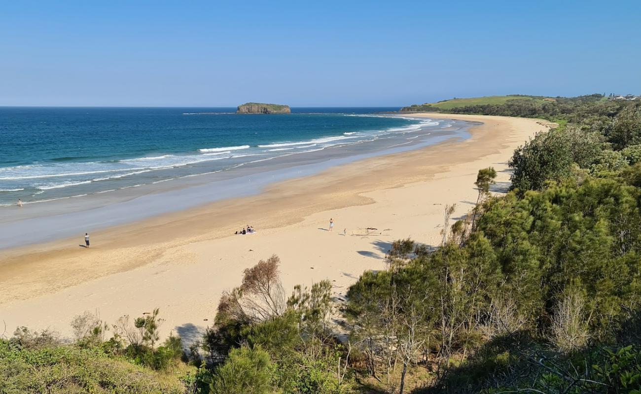 Foto de Minnamurra Beach con brillante arena fina superficie