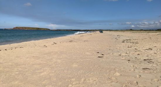 Windang Beach