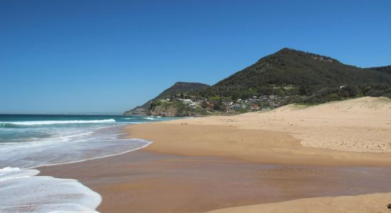 Stanwell Park Beach