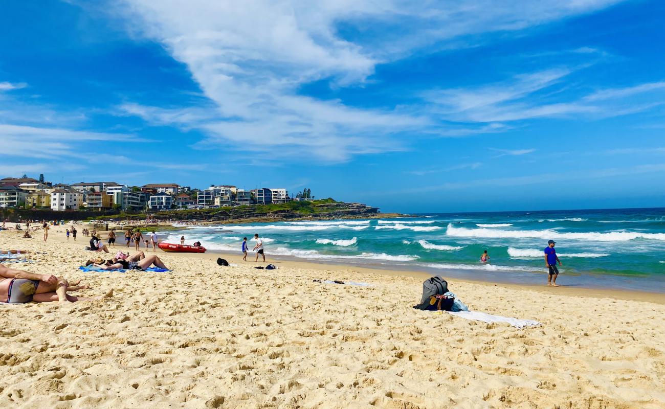 Foto de Maroubra Beach con arena brillante superficie