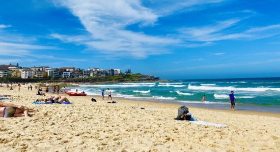 Maroubra Beach