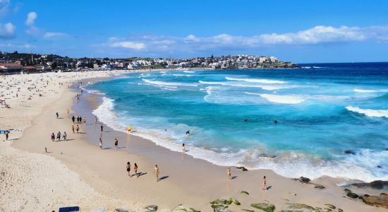 Bondi Beach