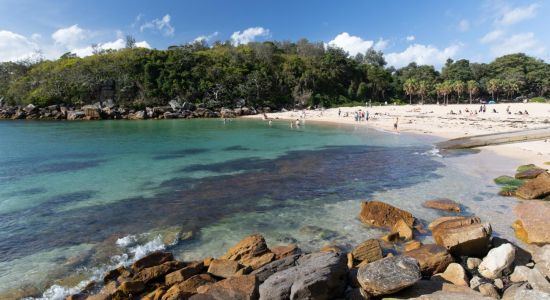 Shelly Beach