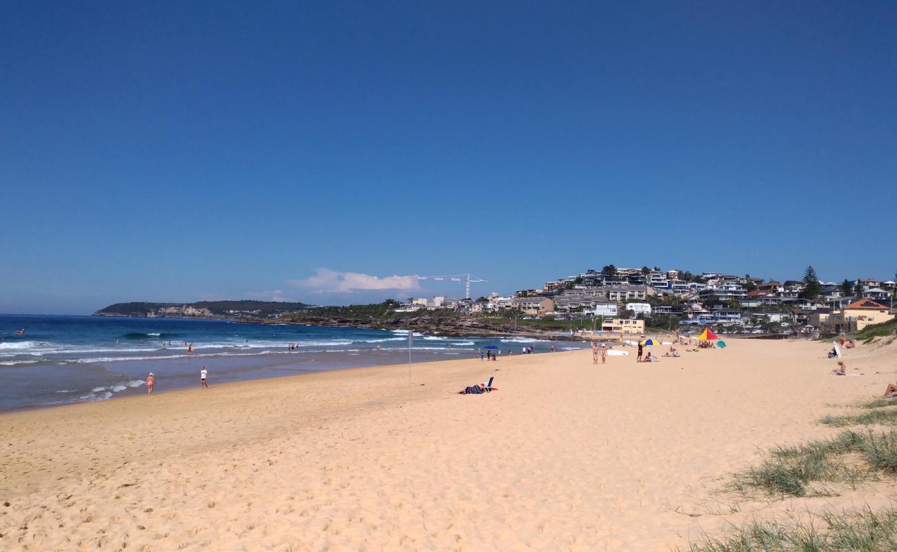 Foto de South Curl Curl Beach con brillante arena fina superficie