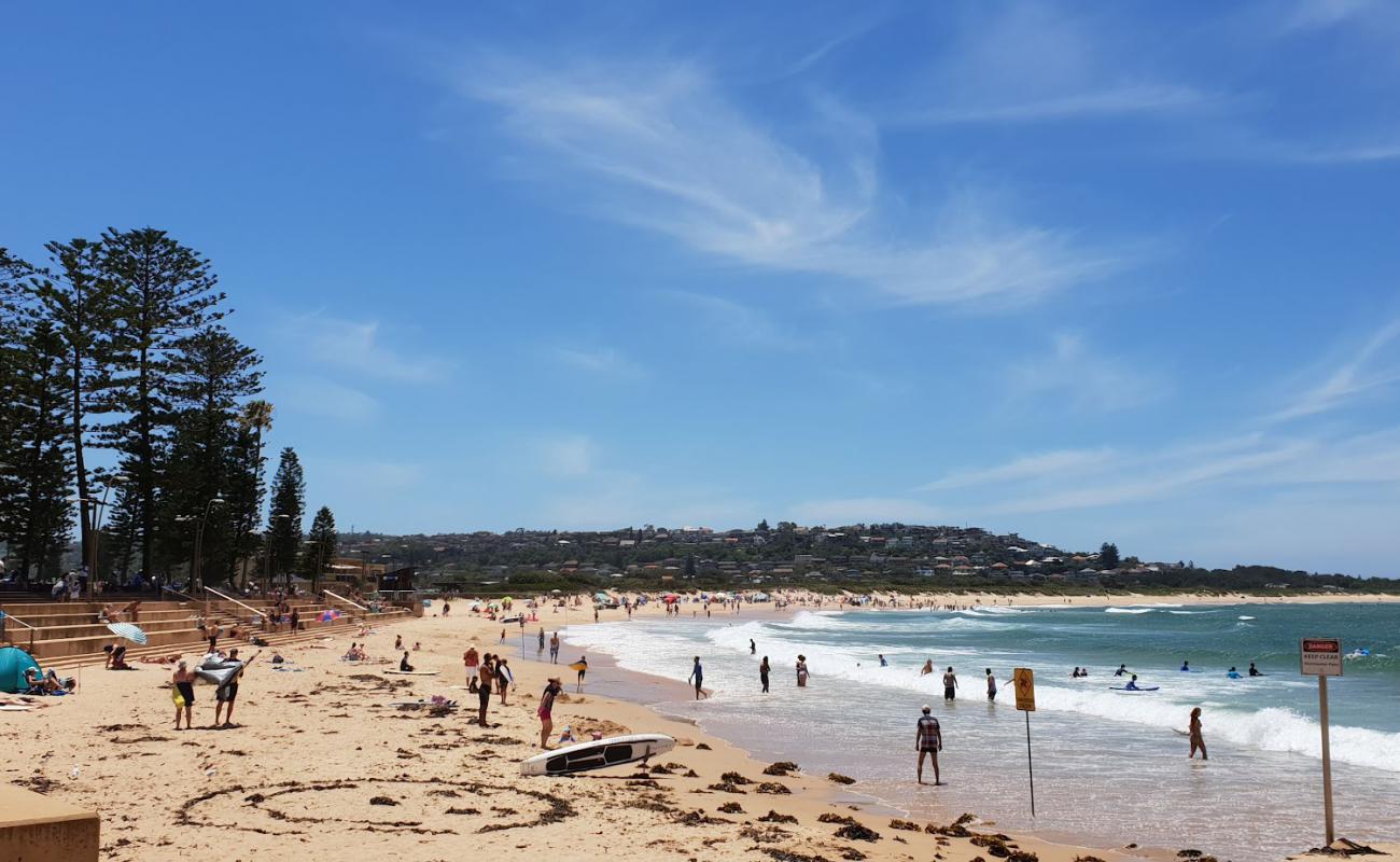 Foto de Dee Why Beach con brillante arena fina superficie