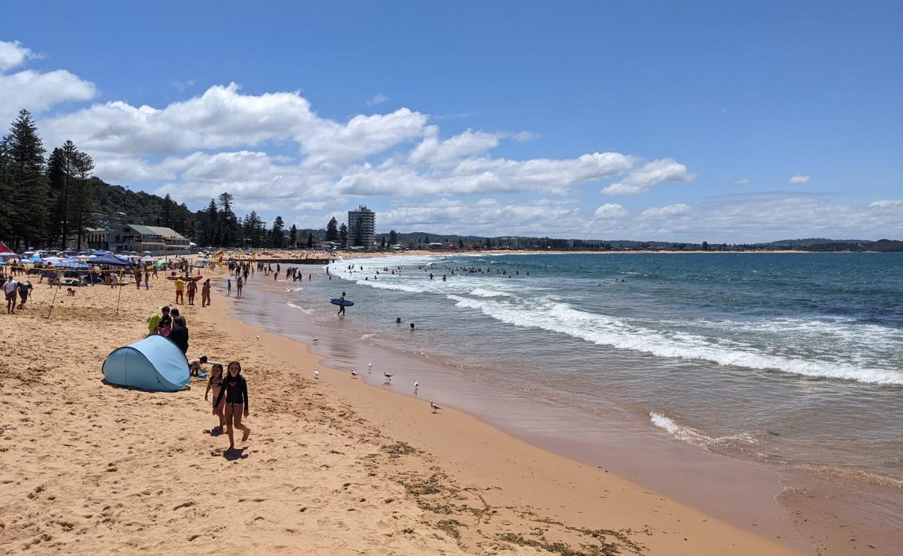 Foto de Collaroy Beach con arena brillante superficie