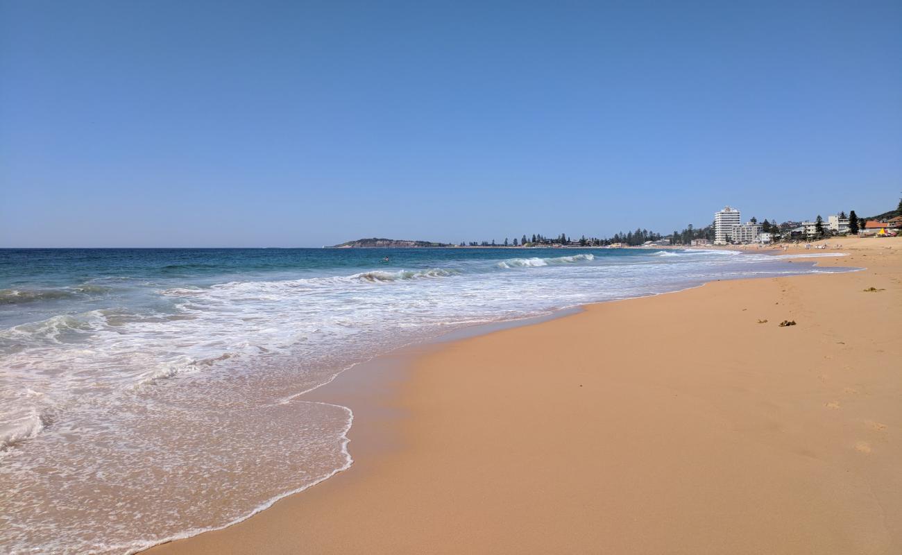 Foto de Narrabeen Beach con arena brillante superficie