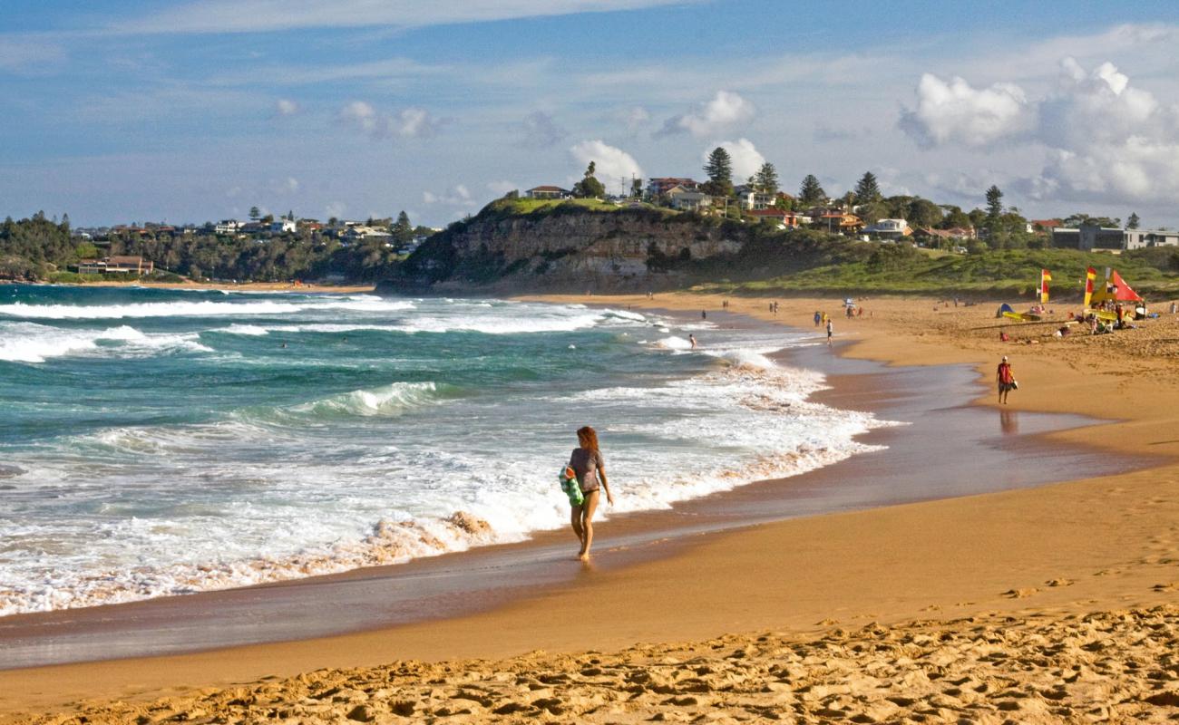 Foto de Mona Vale Beach con arena brillante superficie