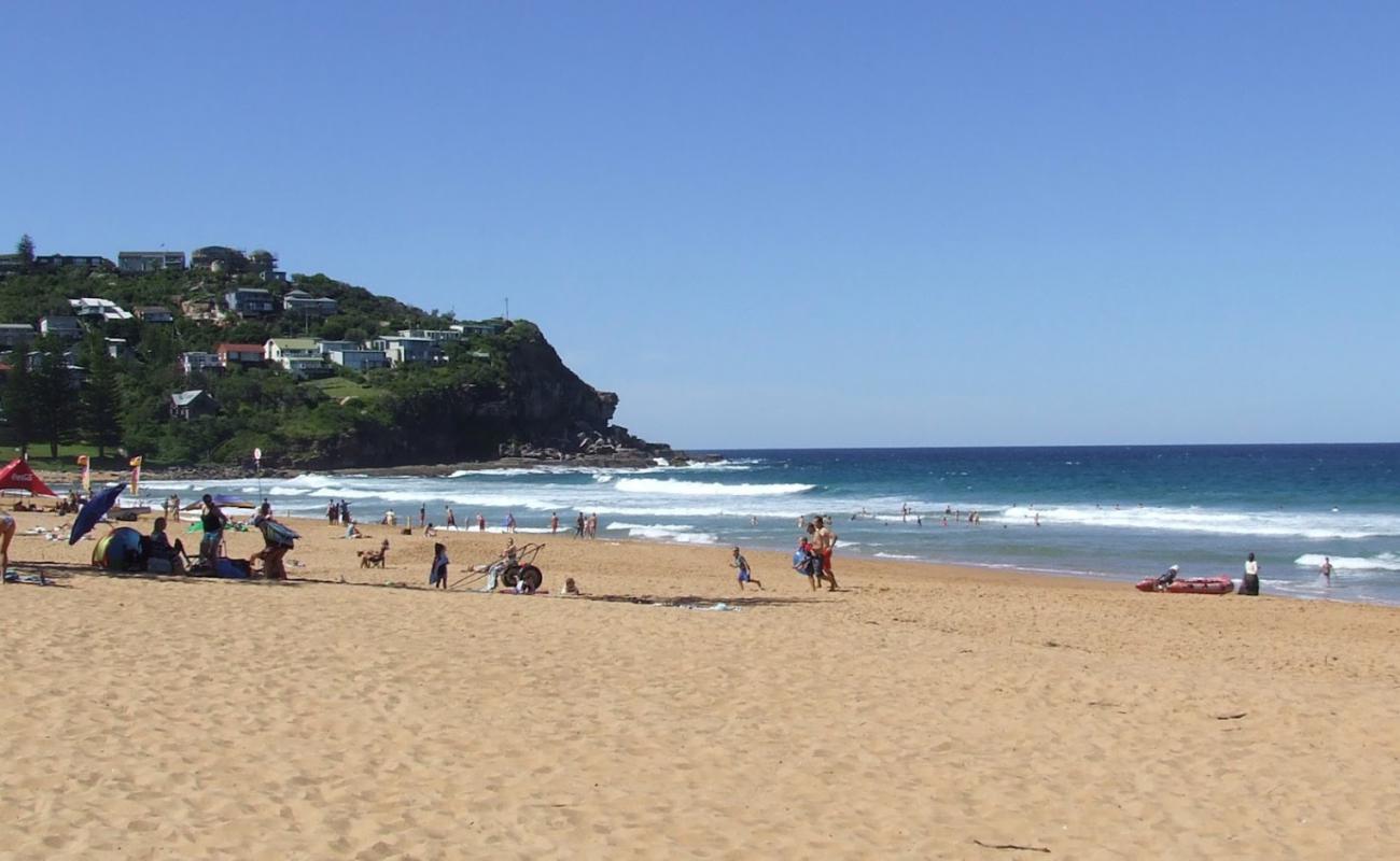 Foto de Whale Beach con brillante arena fina superficie