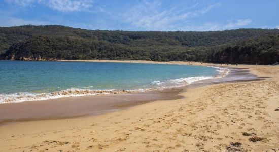 Maitland Bay Beach