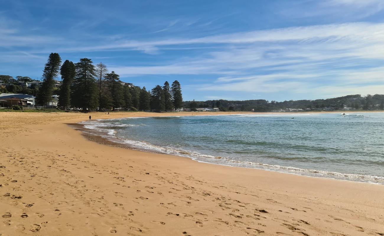 Foto de North Avoca Beach con brillante arena fina superficie