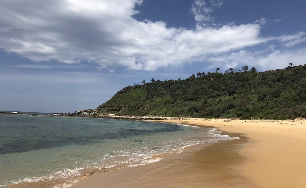 Foto de Forresters Beach con brillante arena fina superficie