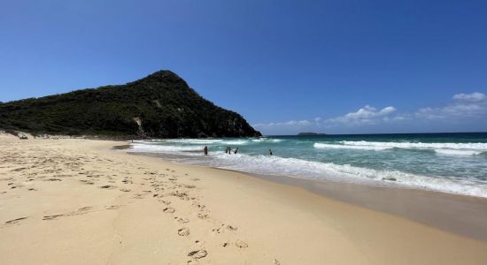 Zenith Beach