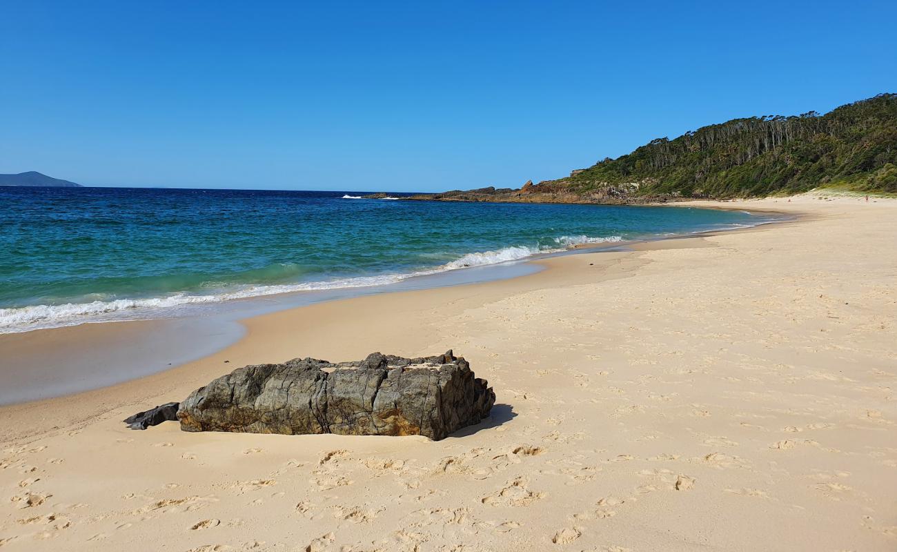 Foto de Shelly Beach con brillante arena fina superficie