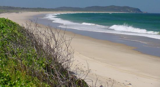 Crowdy Bay Beach