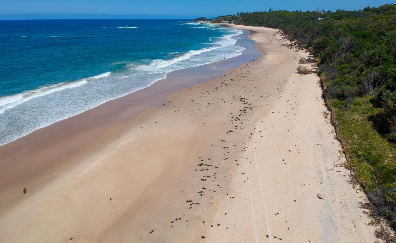 Foto de Forster Beach con brillante arena fina superficie