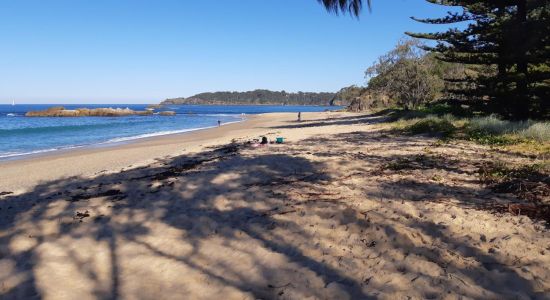 Opal Cove Beach