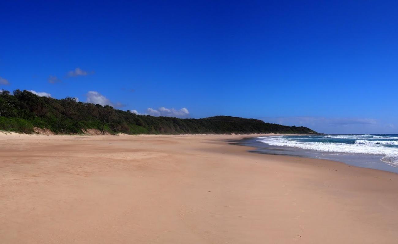 Foto de Little Shelley Beach con arena brillante superficie