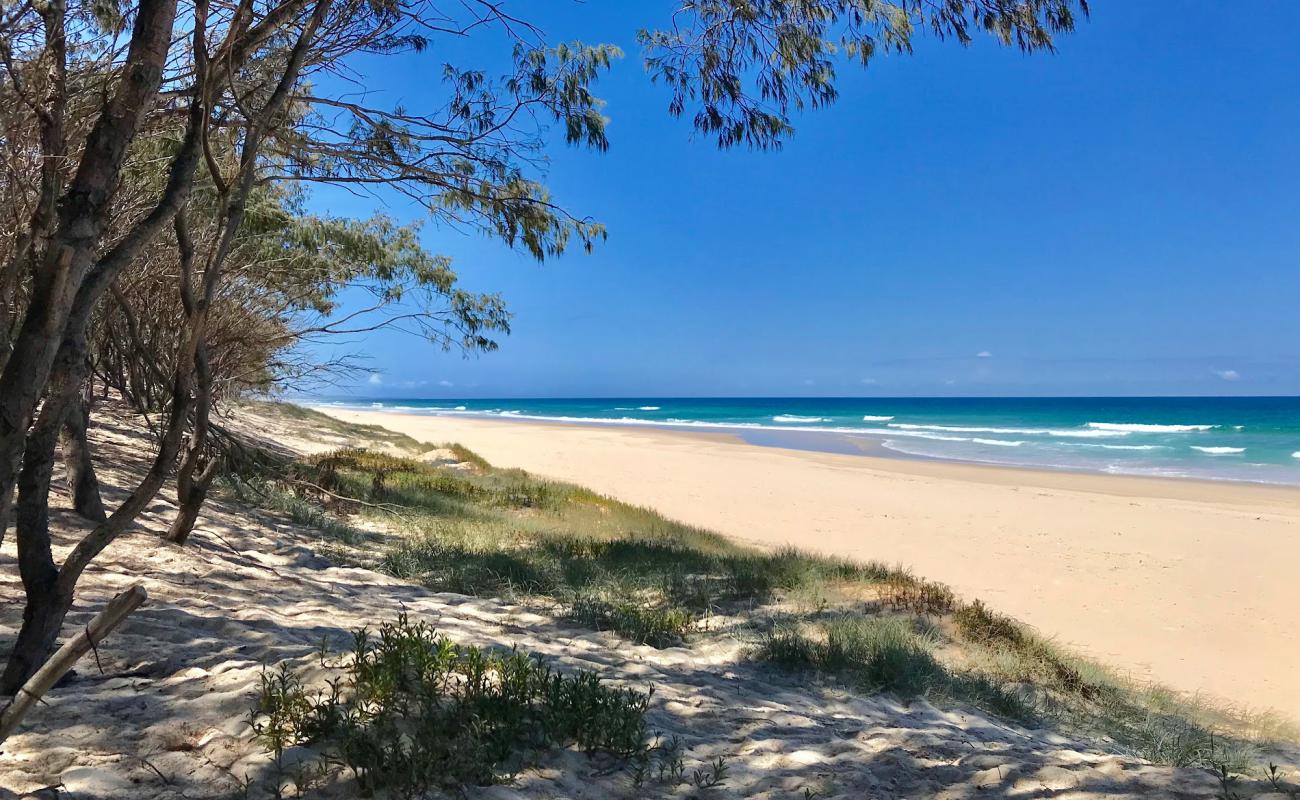 Foto de Minjerribah Beach con brillante arena fina superficie