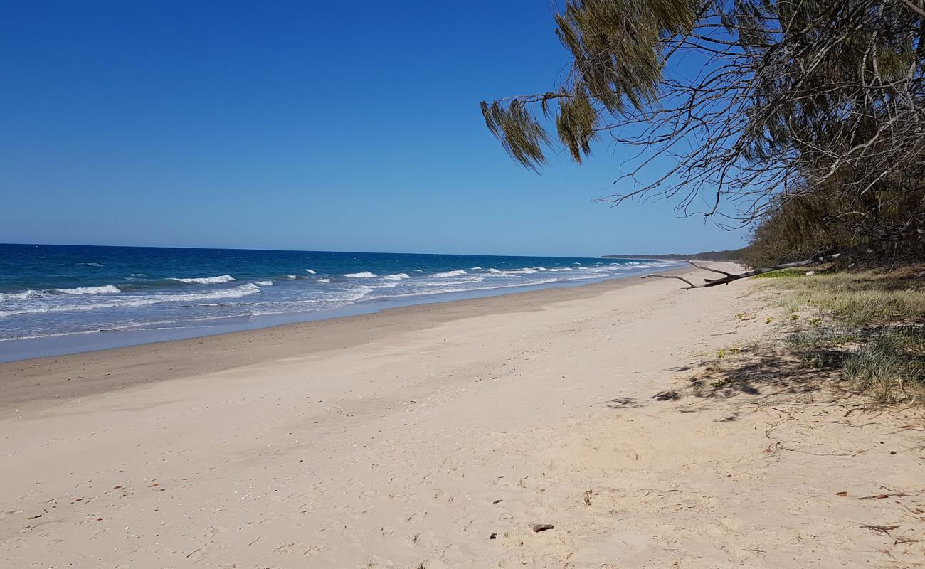 Foto de Woodgate Beach con arena brillante superficie