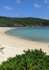 Whitsunday island