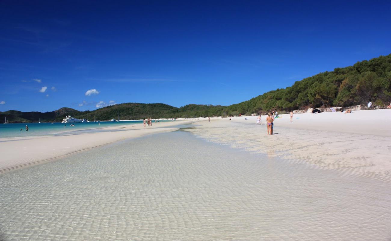 Foto de Playa de Whitehaven con arena fina blanca superficie