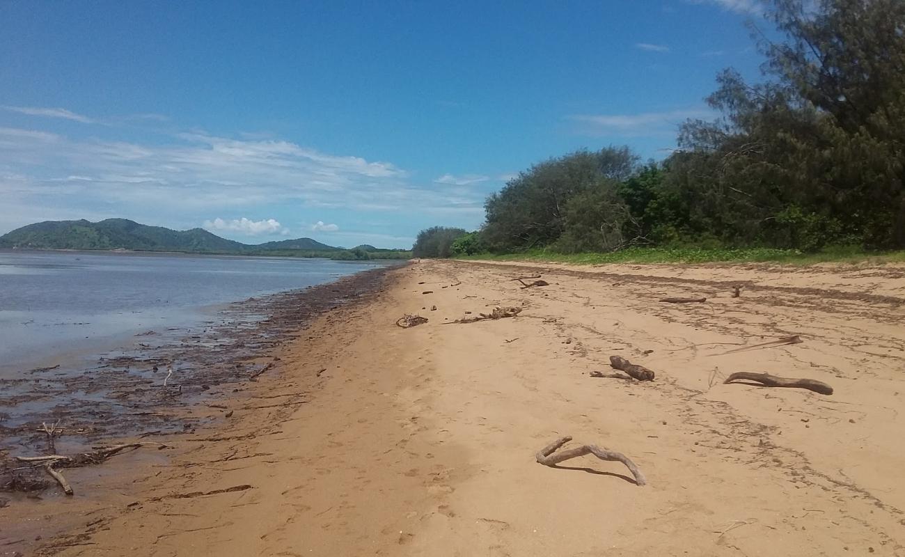 Foto de Bushland Beach con arena brillante superficie