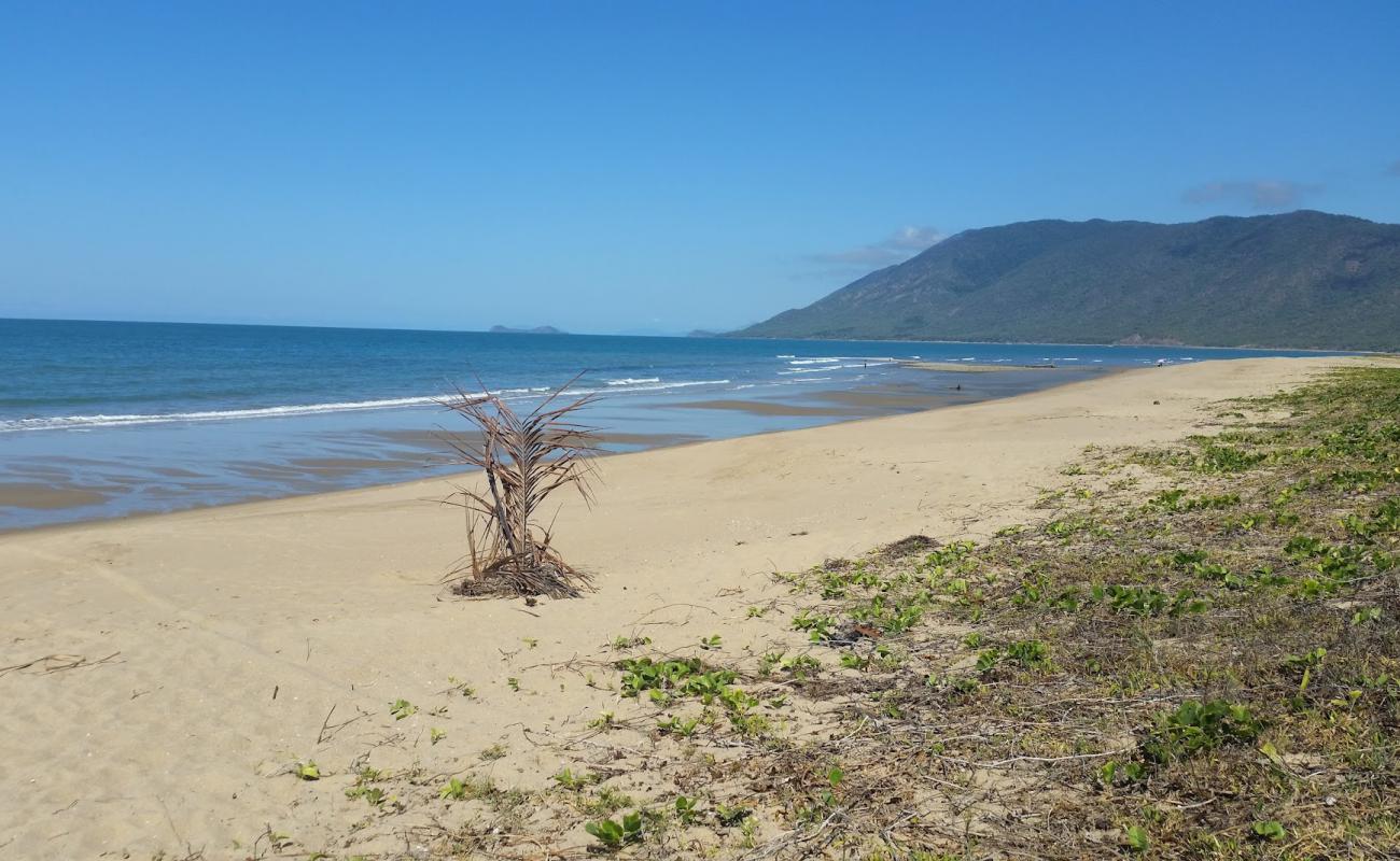 Foto de Wangetti Beach con arena brillante superficie