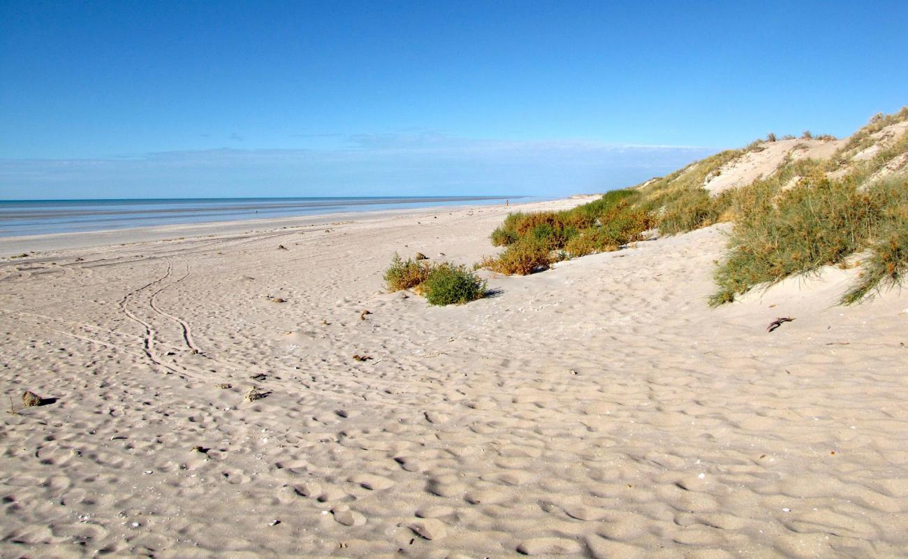 Foto de Ninety Mile Beach con arena brillante superficie