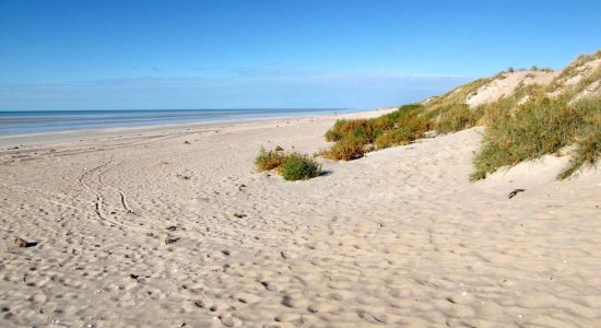 Ninety Mile Beach