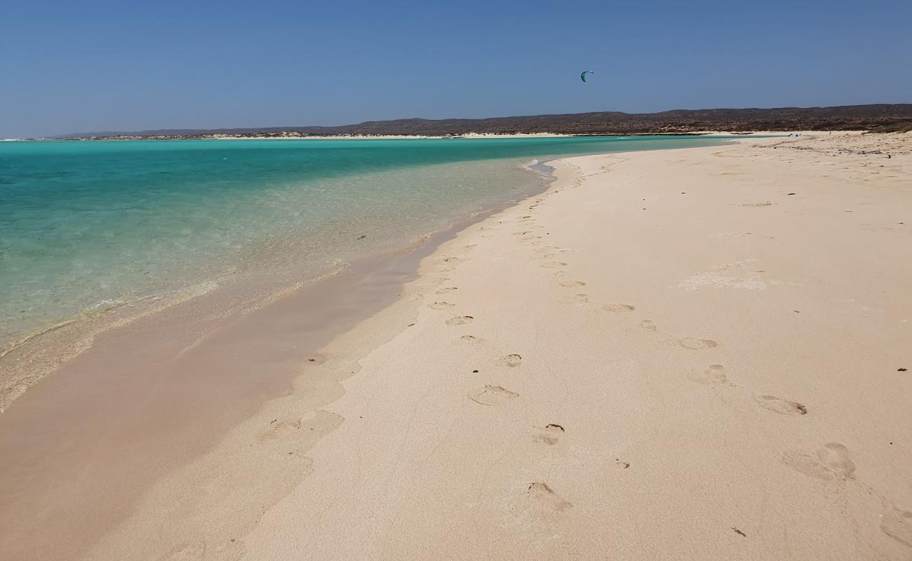 Foto de Ningaloo Coast Beach con brillante arena fina superficie