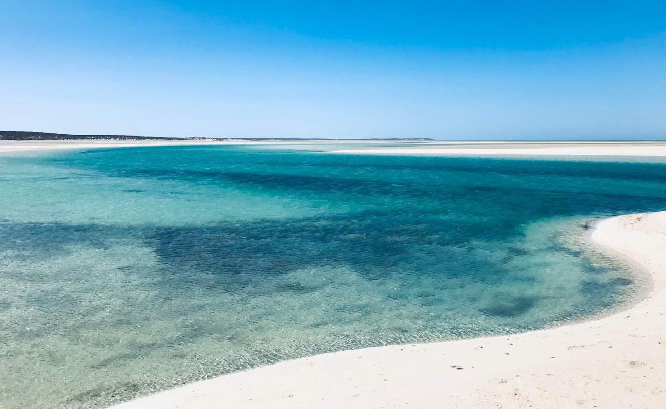 Foto de Nicholson Point Shark Bay con arena brillante superficie