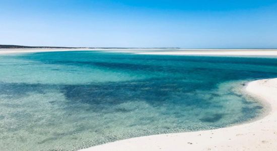 Nicholson Point Shark Bay