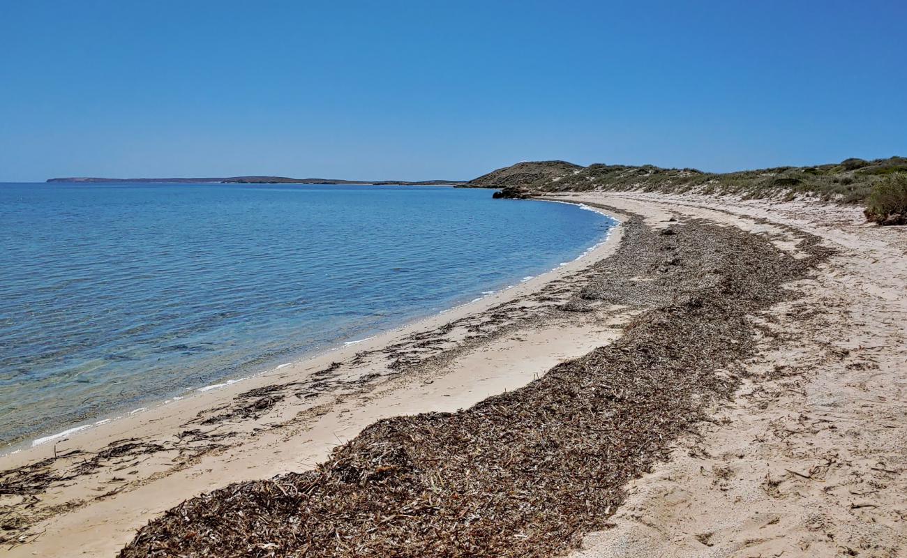 Foto de The Whalebone Road Beach con arena brillante superficie