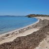 The Whalebone Road Beach