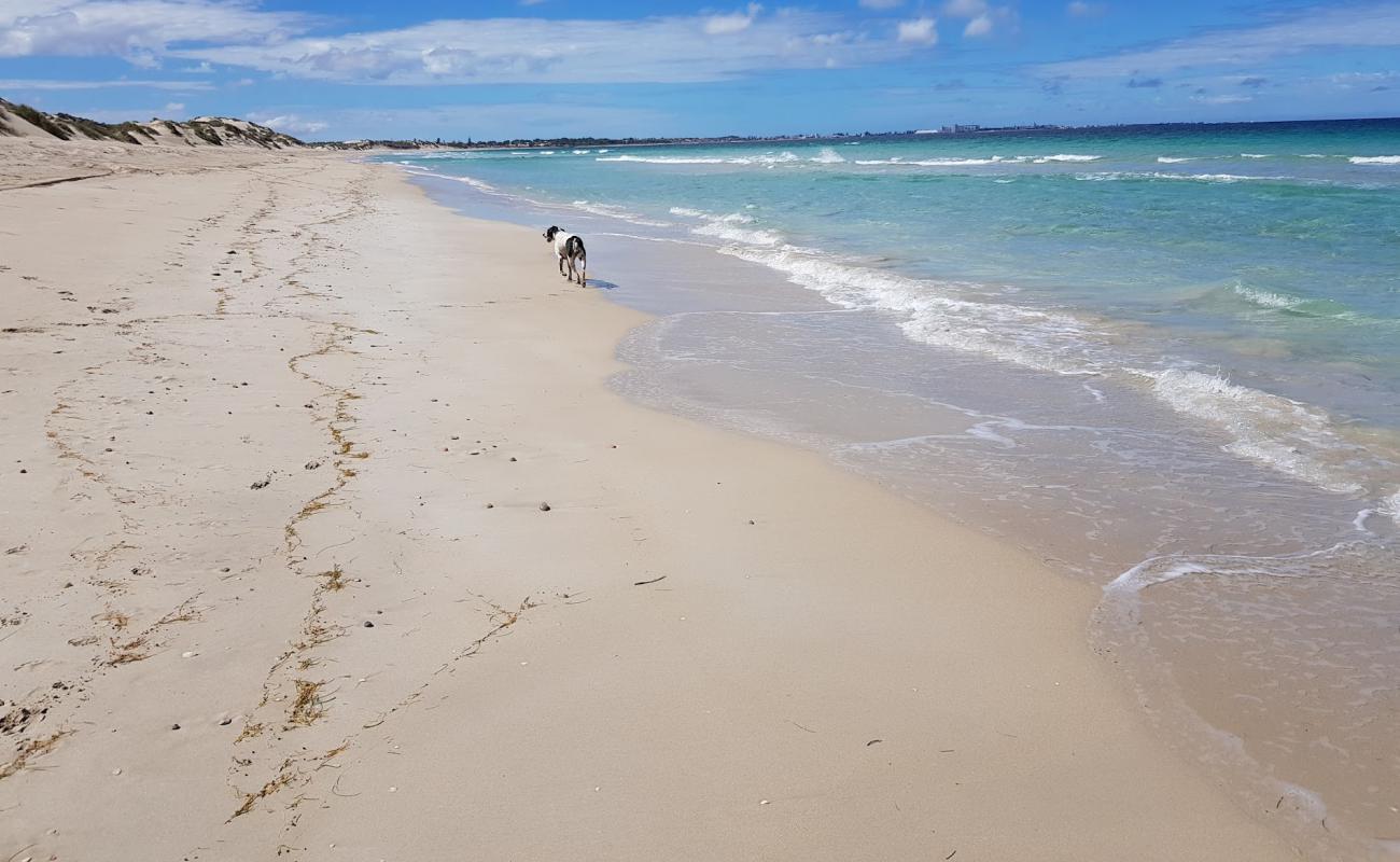 Foto de Glenfield Beach con arena brillante superficie