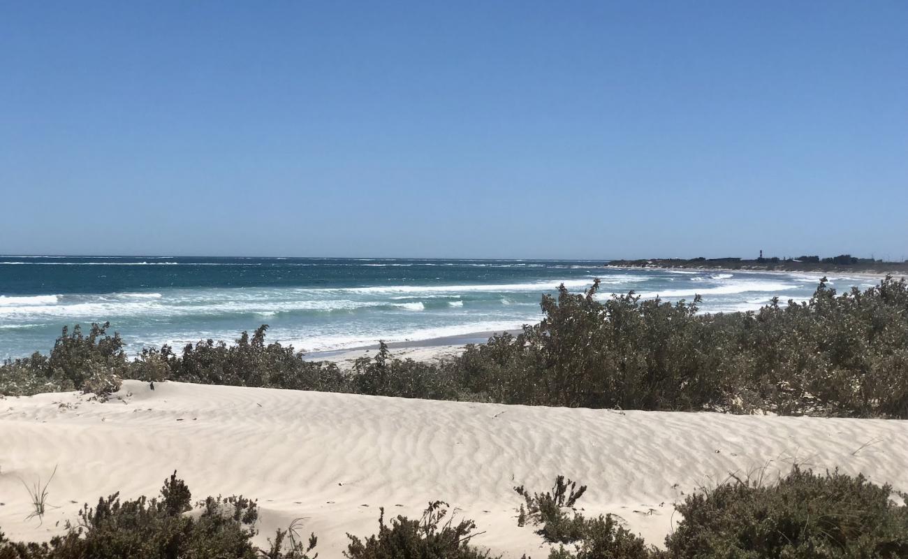 Foto de Tarcoola Beach con brillante arena fina superficie