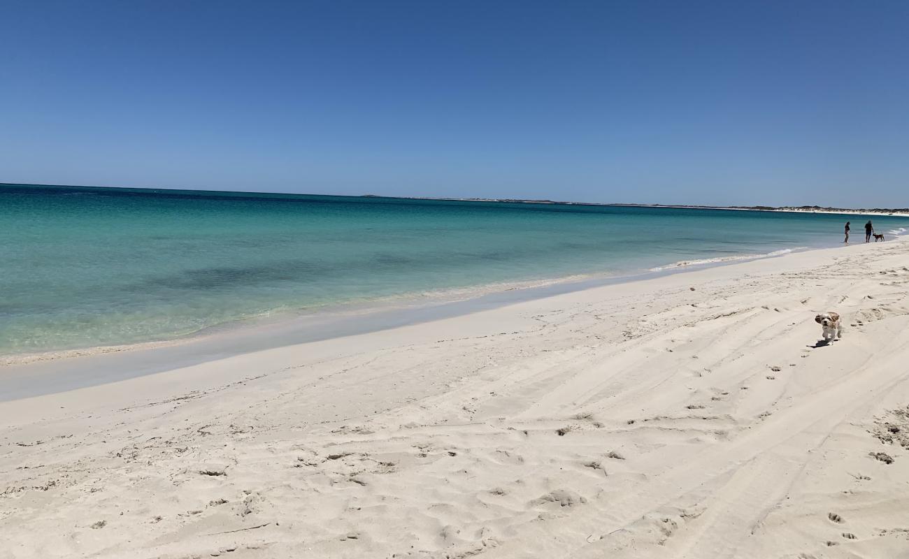 Foto de Jurien Dog Beach con arena blanca superficie