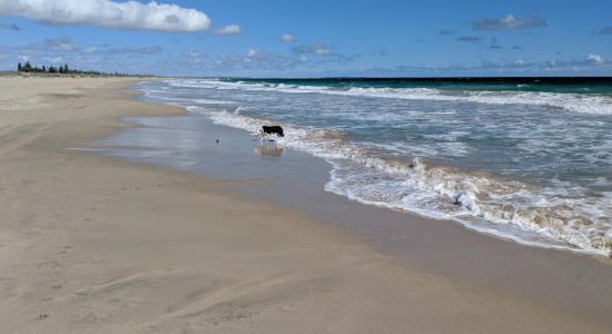 Singleton Beach